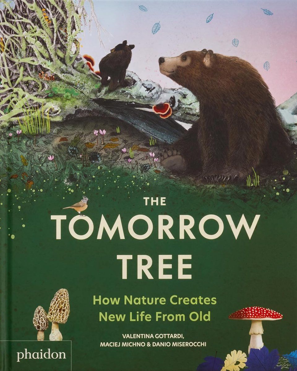 The Tomorrow Tree
