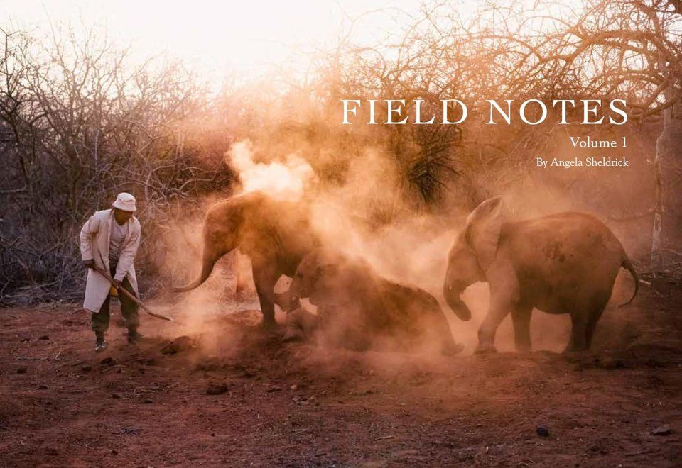 Field Notes, Volume 1