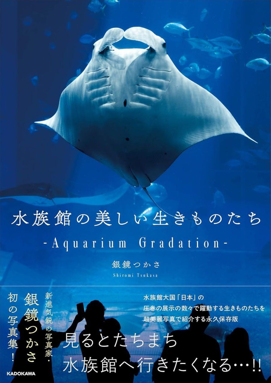 Aquarium Gradation [Japanese]