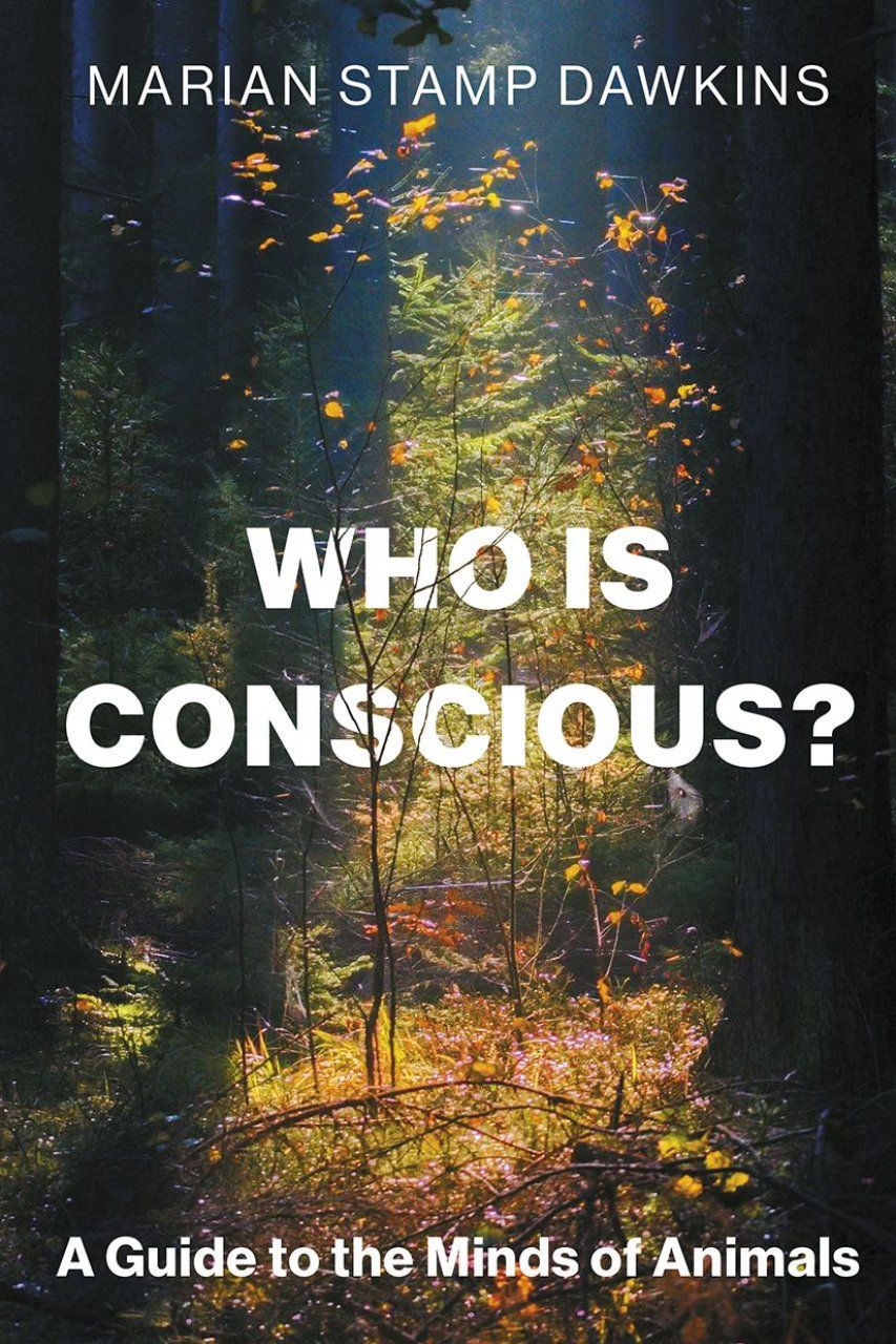 Who is Conscious?