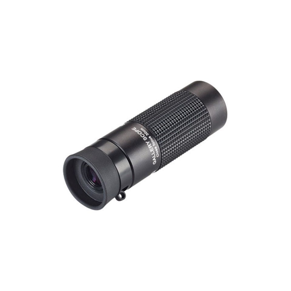 Gallery Scope 8x20
