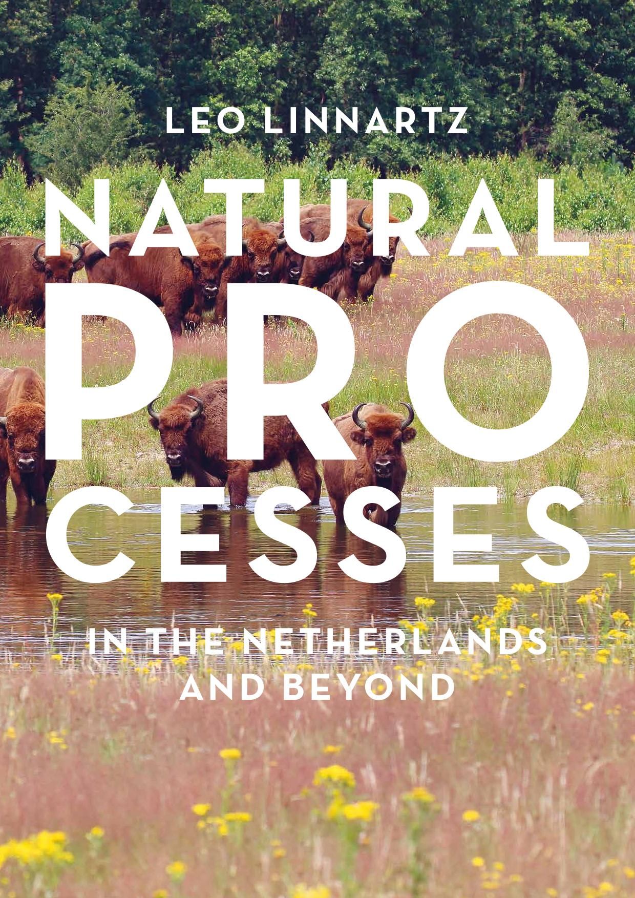 Natural Processes in the Netherlands and Beyond