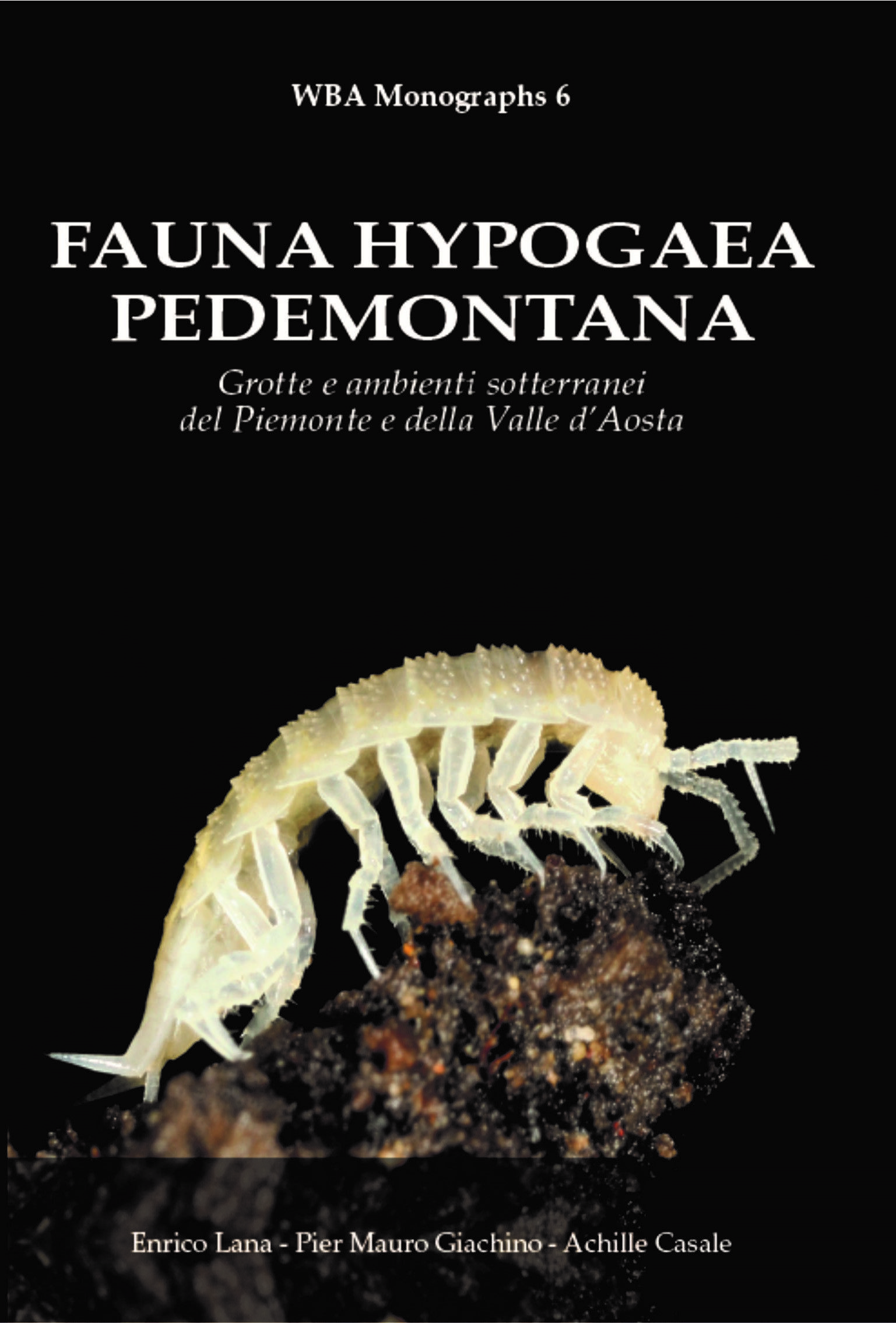 Fauna Hypogaea Pedemontana: Grotte e Ambienti Sotteranei del Piemonte e della Valled&#039;Aost [Hypogaean Fauna of the Foothills: Caves and Underground Environments of Piedmont and the Aosta Valley]