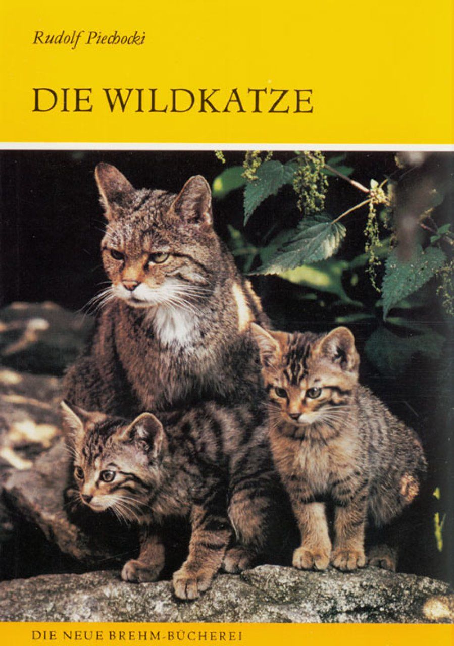 Die Wildkatze [The European Wildcat]