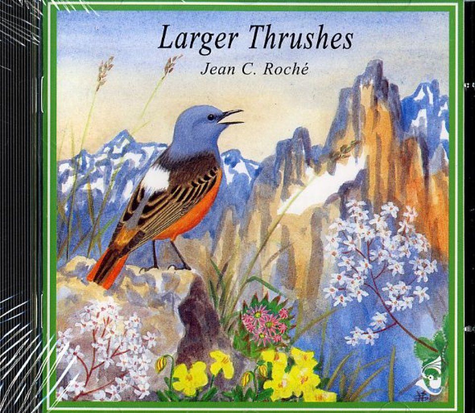Larger Thrushes / Merles et Grives