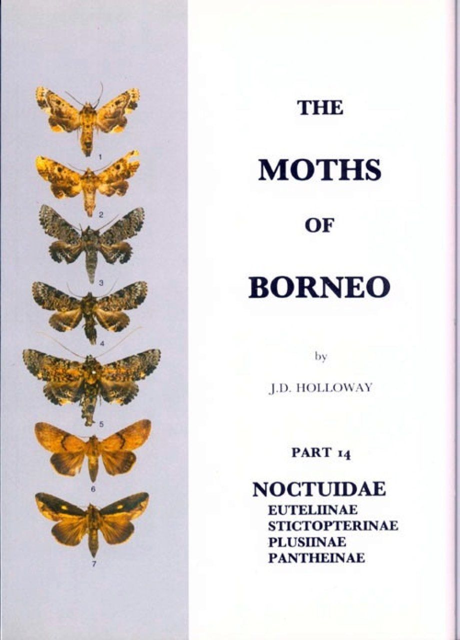 The Moths of Borneo, Part 14
