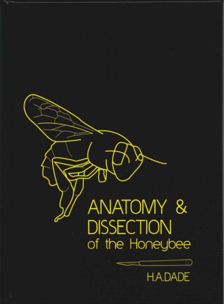Anatomy &amp; Dissection of the Honeybee