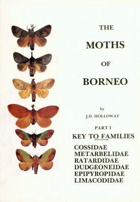 The Moths of Borneo, Part 1