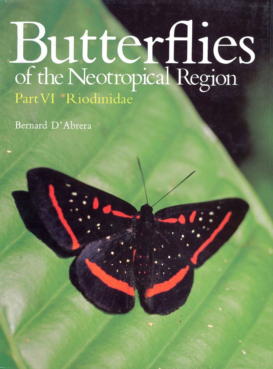 Butterflies of the Neotropical Region, Part 6