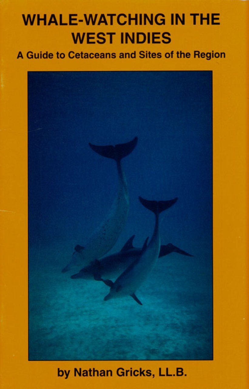 Whale-Watching in the West Indies