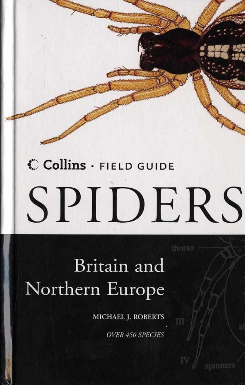 Collins Field Guide to the Spiders of Britain and Northern Europe
