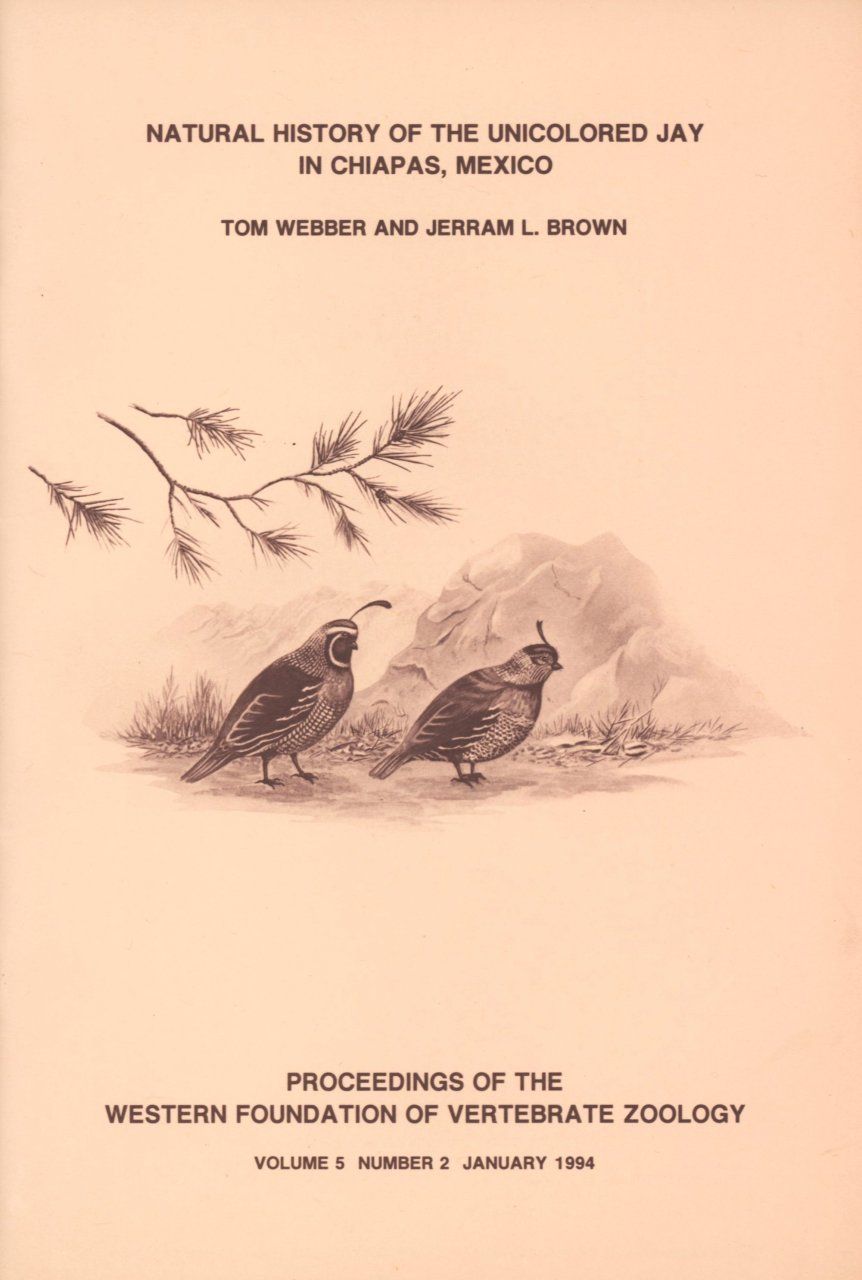 Natural History of the Unicolored Jay in Chiapas, Mexico