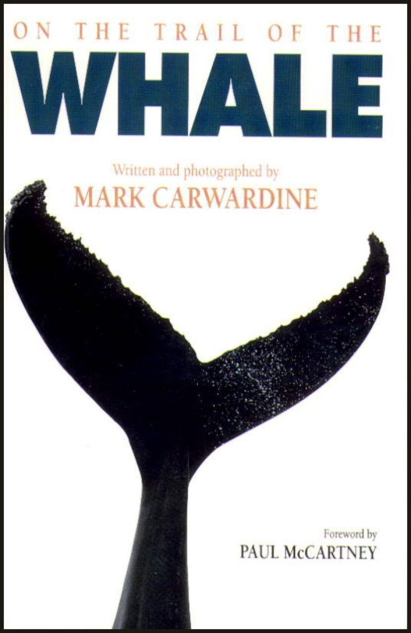 On the Trail of the Whale