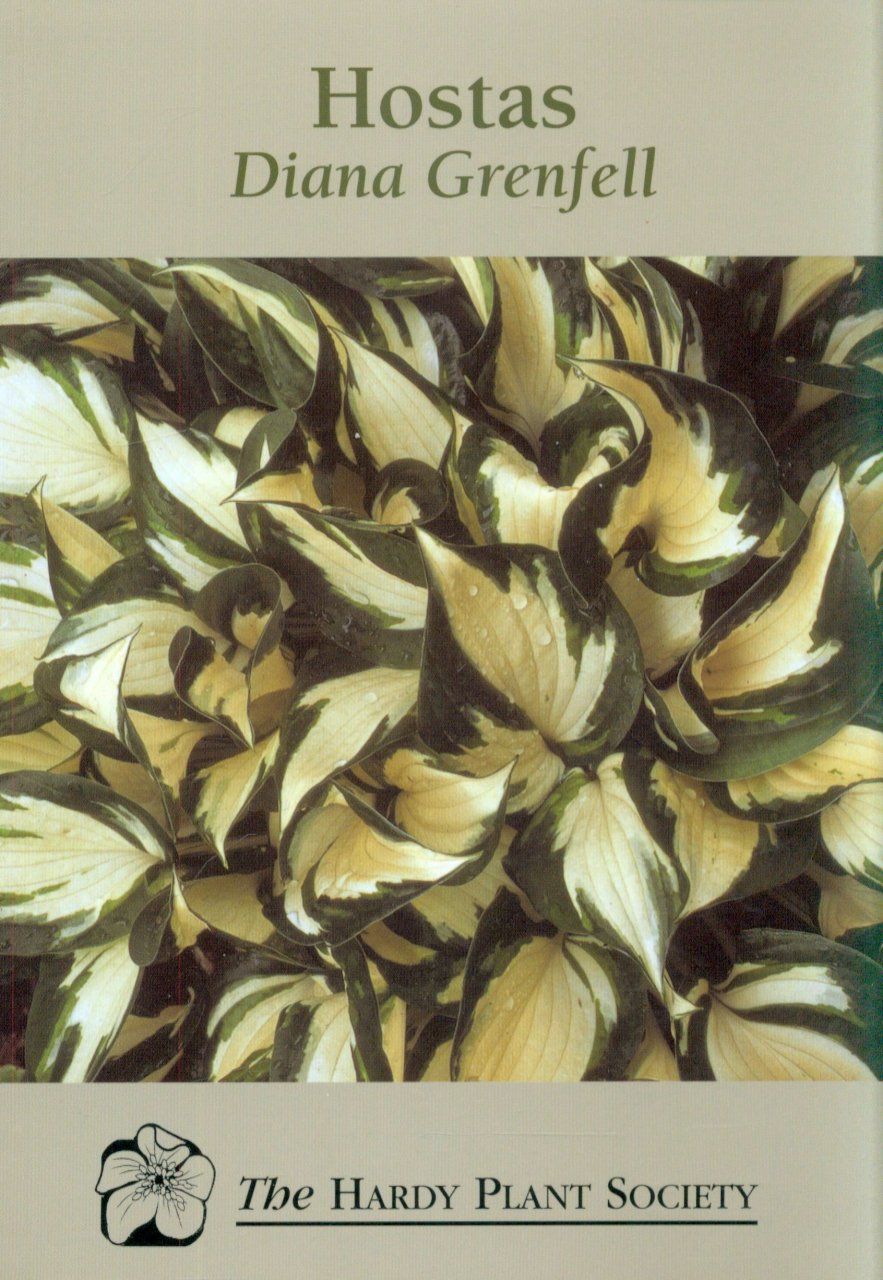 Hostas