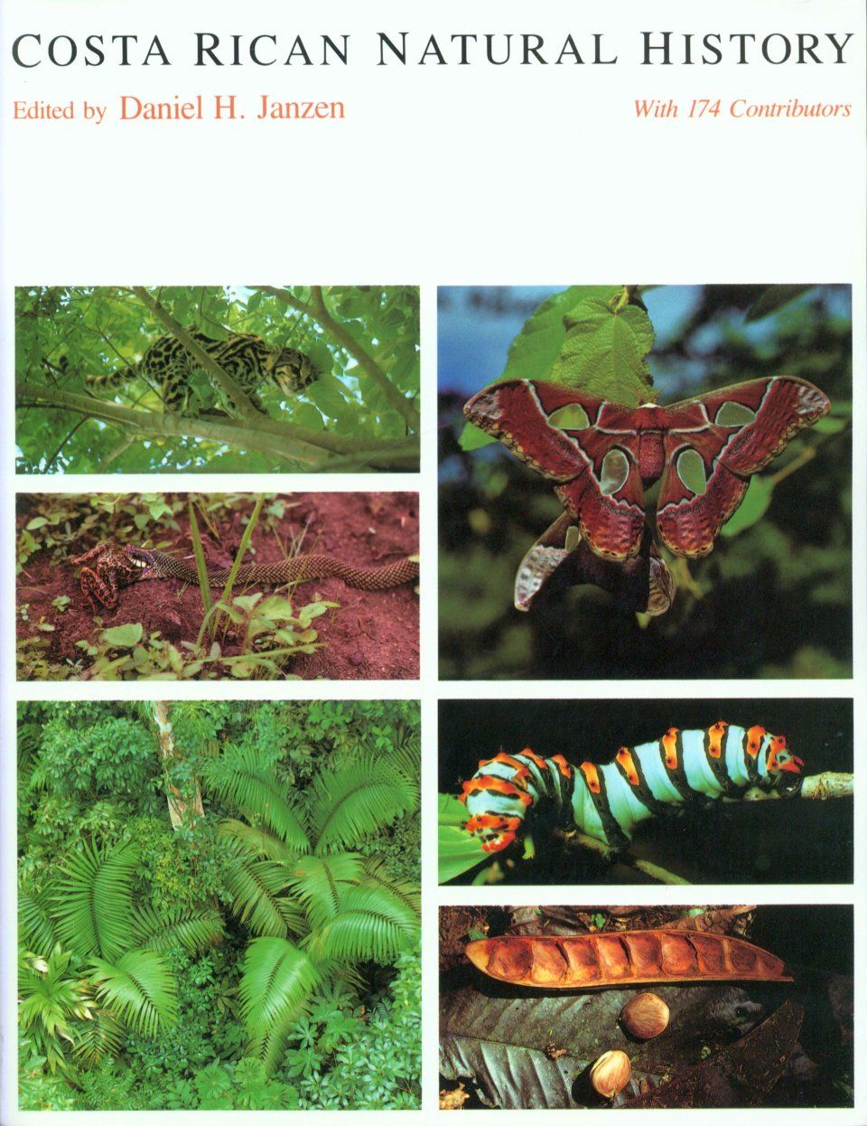 Costa Rican Natural History