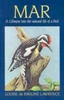 Mar: A Glimpse into the Natural Life of a Bird