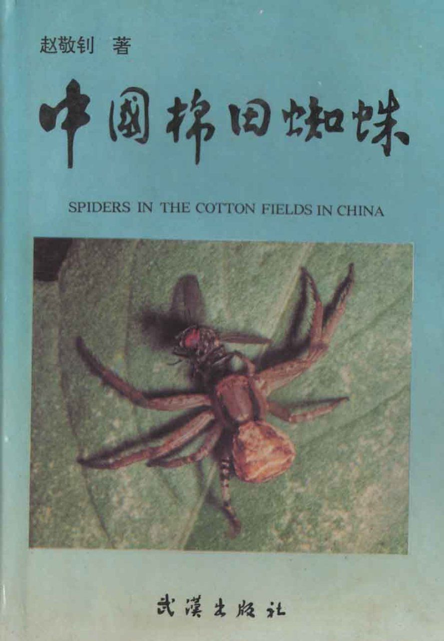 Spiders in the Cotton Fields in China [Chinese]