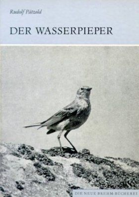 Der Wasserpieper [The Water Pipit]