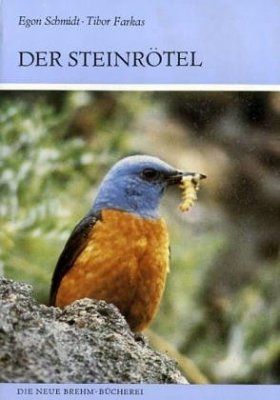 Der Steinrötel [The Rock Thrush]