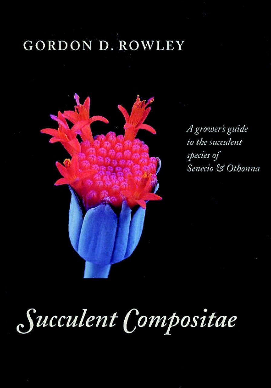 Succulent Compositae