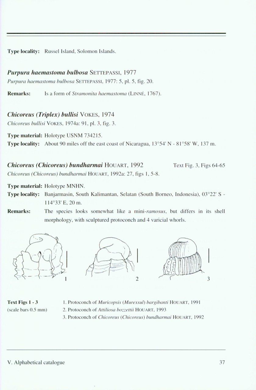 Illustrated Catalogue of Recent Species of Muricidae Named Since 1971
