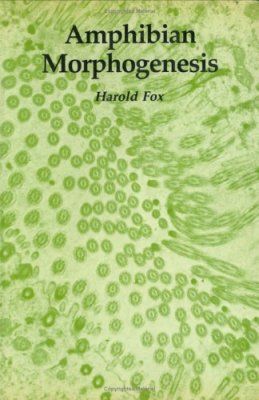 Amphibian Morphogenesis