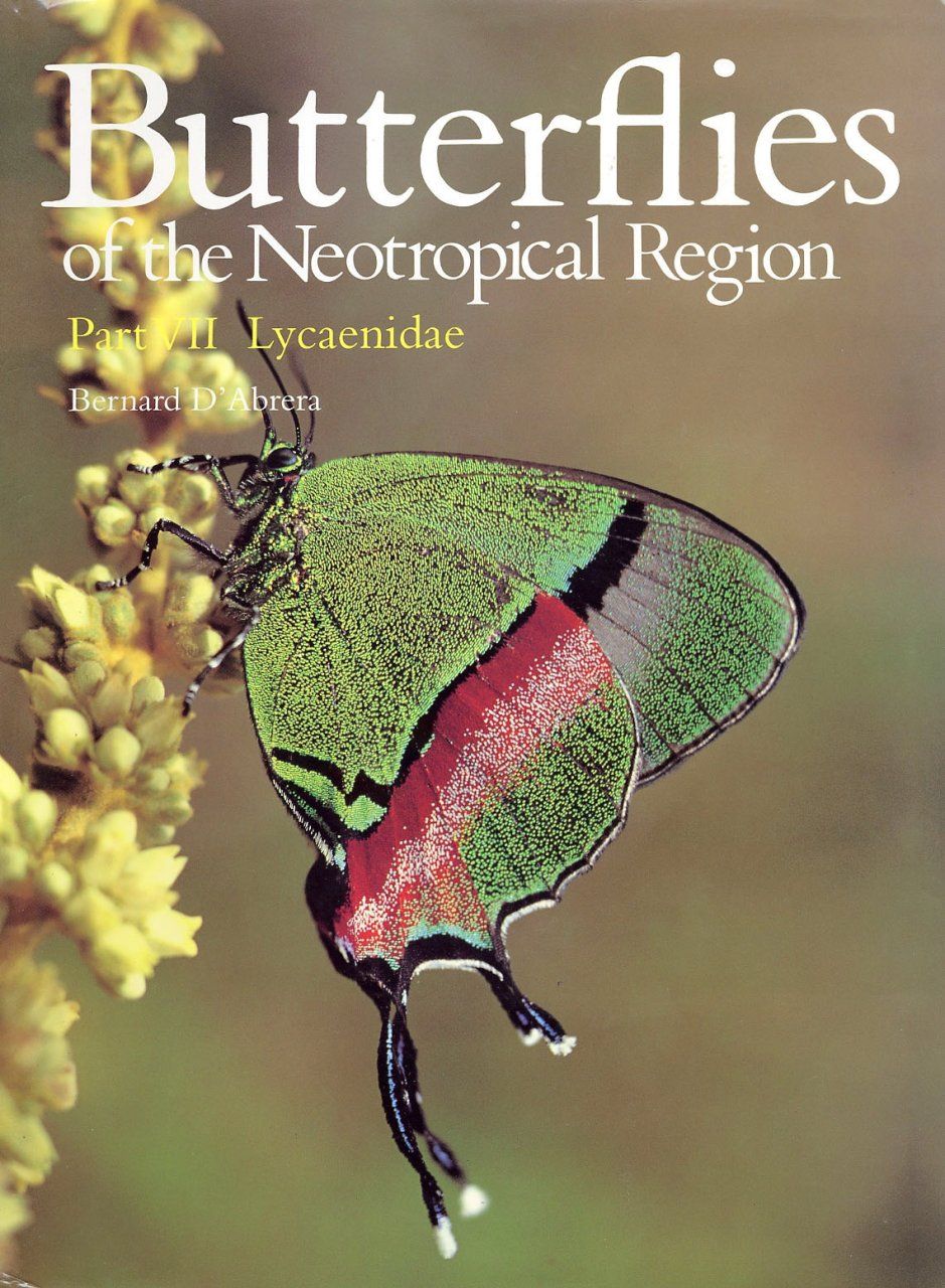 Butterflies of the Neotropical Region, Part 7