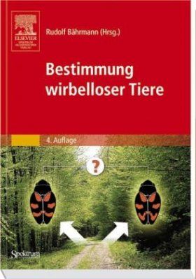 Bestimmung Wirbelloser Tiere