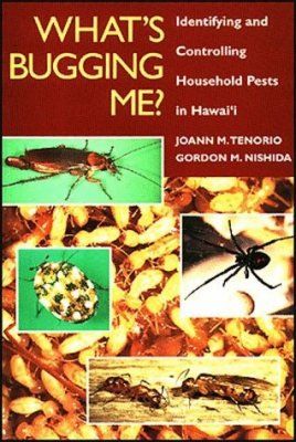 What&#039;s Bugging Me?