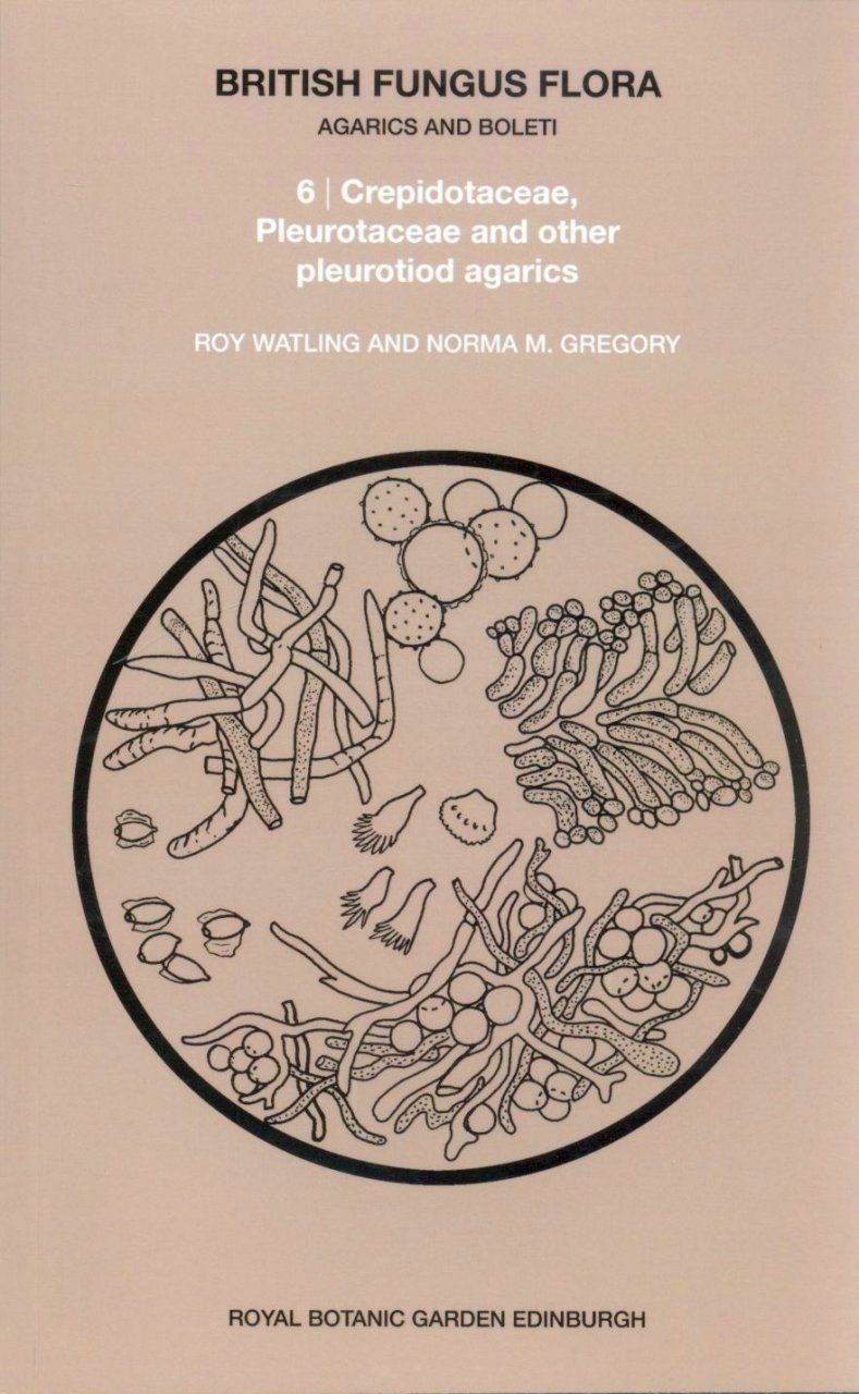 British Fungus Flora, Part 6: Crepidotaceae, Pleurotaceae and other Pleurotoid Agarics