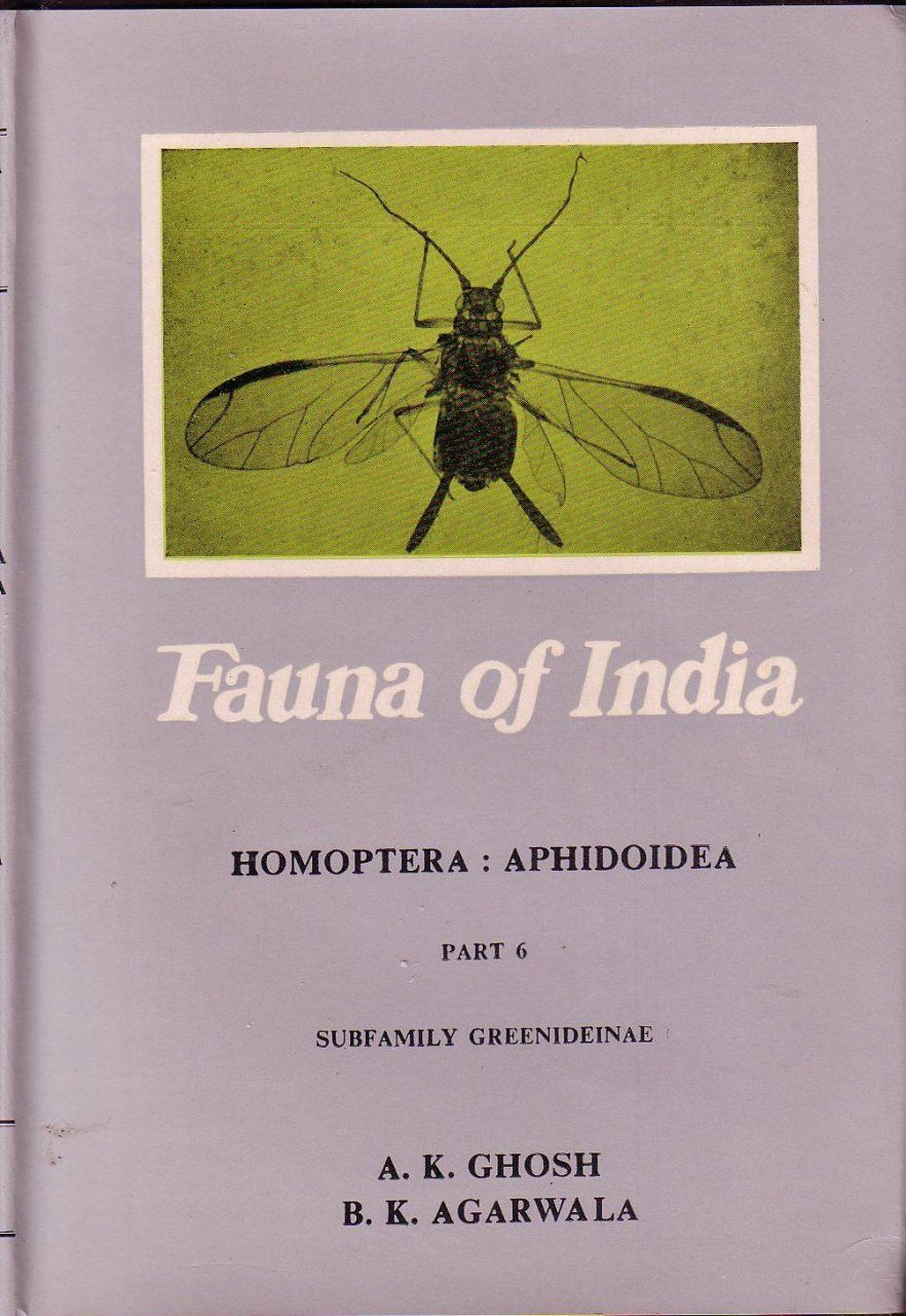 Fauna of India and the Adjacent Countries: Homoptera: Aphidoidea, Part 6
