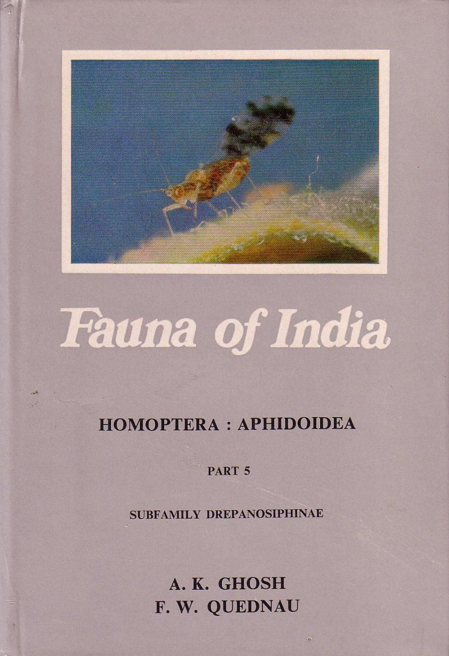 Fauna of India and the Adjacent Countries: Homoptera: Aphidoidea, Part 5