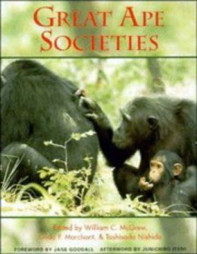 Great Ape Societies