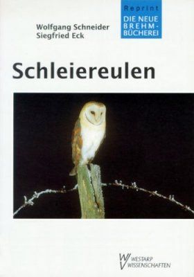Schleiereulen [Barn Owls]