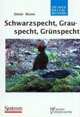 Schwarzspecht, Grauspecht, GrÃ¼nspecht [Black, Grey-Headed and Green Woodpeckers]
