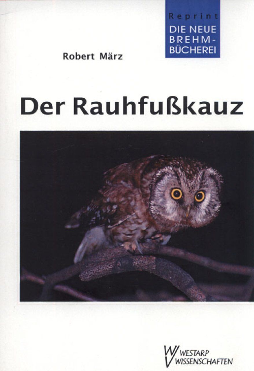 Der Rauhfußkauz [Tengmalm&#039;s Owl]