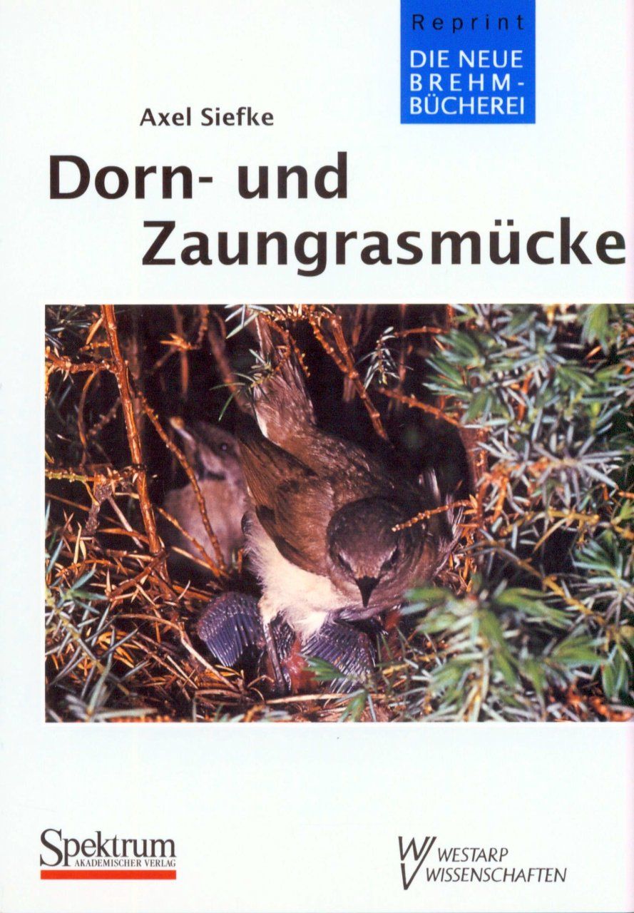 Dorn- und ZaungrasmÃ¼cke [Whitethroat and Lesser Whitethroat]