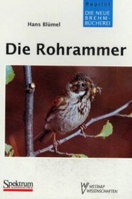 Die Rohrammer [The Reed Bunting]