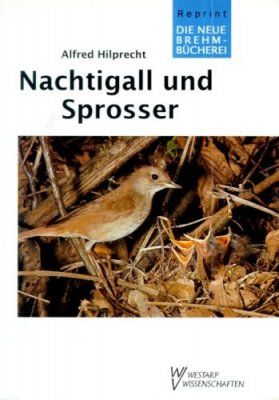 Nachtigall und Sprosser [Nightingales and Thrush Nightingales]