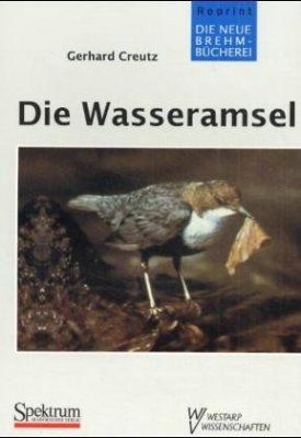 Die Wasseramsel [The White-throated Dipper]