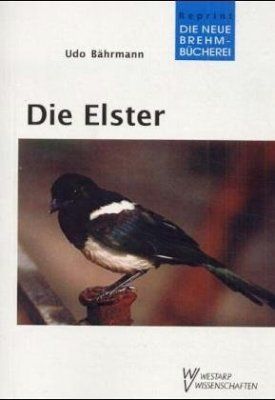 Die Elster [The Magpie]