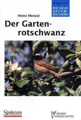 Der Gartenrotschwanz [The Redstart]