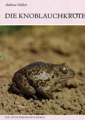 Die Knoblauchkröte [The Common Spadefoot Toad]