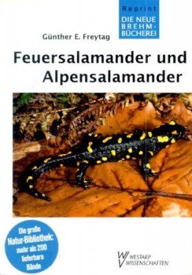 Feuersalamander und Alpensalamander [Fire Salamander and Alpine Salamander]