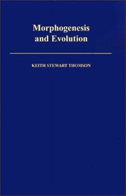 Morphogenesis and Evolution