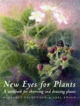 New Eyes for Plants