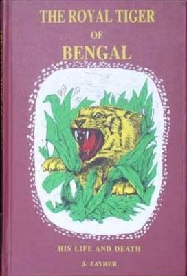 The Royal Tiger of Bengal