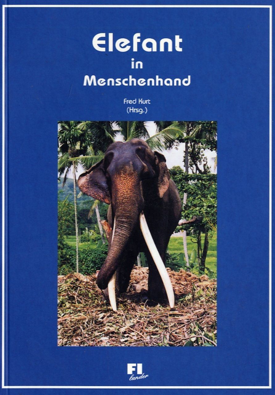 Elefant in Menschenhand