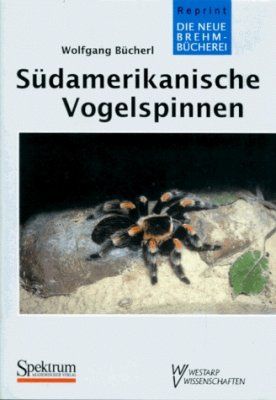 Südamerikanische Vogelspinnen [South American Tarantulas]