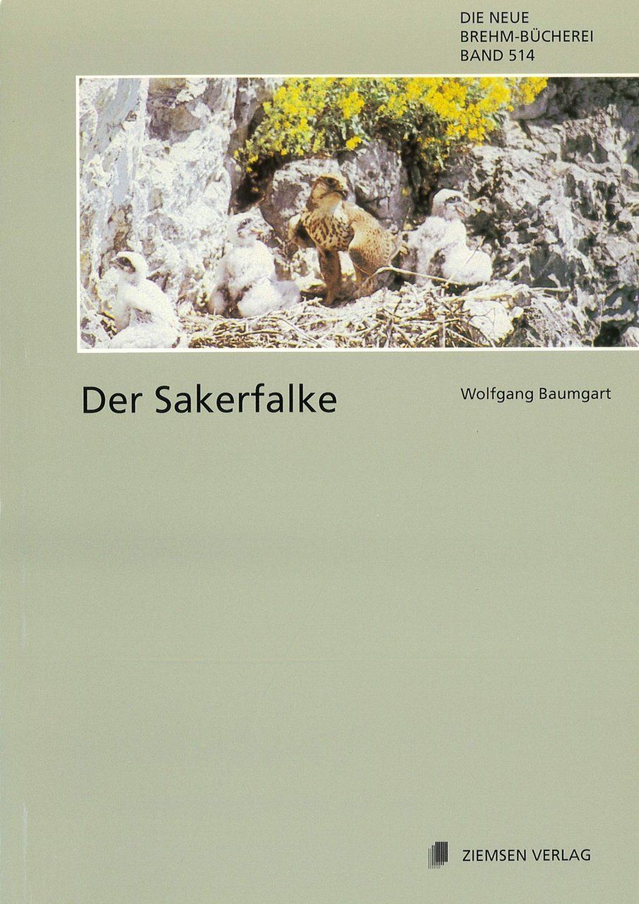 Der Sakerfalke [The Saker Falcon]